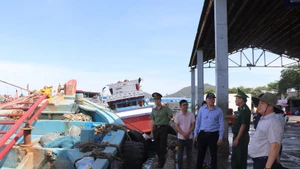El vicepresidente del Comité Popular de Ciudad Ho Chi Minh Hoang Nguyen Dinh inspecciona las labores de prevención y lucha contra la pesca ilegal, no declarada y no reglamentada en el puerto de Hung Thai, en la comuna de Long Hai. (Foto: VNA)