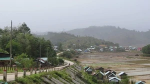 En la comuna de Mang But, en la provincia central de Quang Ngai. (Foto: VNA)