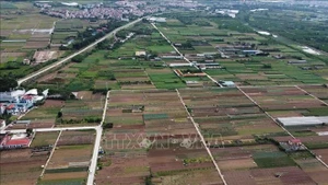 Foto de ilustración. (Fuente: VNA)