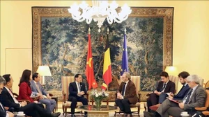 El viceprimer ministro vietnamita Bui Thanh Son se reúne con el presidente de la Cámara de Representantes belga, Peter De Roover. (Foto: VNA)