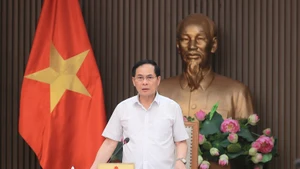 El vicepremier y ministro de Relaciones Exteriores de Vietnam, Bui Thanh Son, habla en el evento. (Foto: VGP)