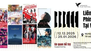 Se proyectan diez obras durante el festival. (Foto: Comité organizador)