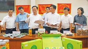 El Consejo de Selección de Productos Industriales Rurales de Bac Ninh en el proceso de elección. (Foto: thuonghieucongluan.com.vn)