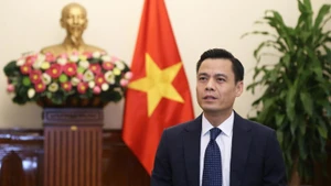 El viceministro de Relaciones Exteriores de Vietnam Dang Hoang Giang. (Foto: VNA)