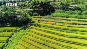Belleza de Thuong Coc. (Foto: VNA)