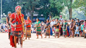 [Foto] Provincia de Dong Nai por preservar y promover su patrimonio cultural inmaterial