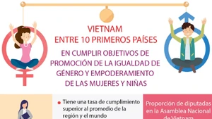 Vietnam entre los 10 países con mejor desempeño en promoción de igualdad de género