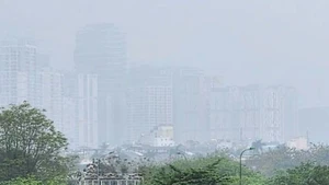 Foto de ilustración. (Fuente: www.mae.gov.vn)