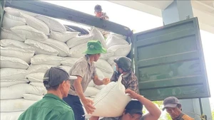 Más de 15 mil paquetes de ayuda fueron trasladados por tren a las provincias sureñas de la región central de Vietnam entre el 10 de octubre y el 24 de noviembre de 2025. (Foto: VNA)