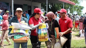 Una de las actividades de la Cruz Roja de Vietnam. (Foto: VNA)