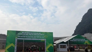 Vista del área donde se organiza la feria. (Foto: baocaobang.vn)