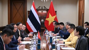Panorama de la reunión. (Foto: Ministerio de Relaciones Exteriores de Vietnam)