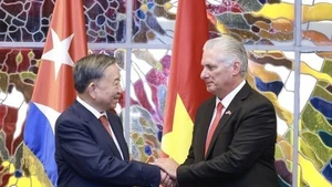 El secretario general del Partido Comunista de Vietnam, To Lam (izquierda), y el primer secretario del Partido Comunista de Cuba y presidente de la República, Miguel Díaz-Canel. (Foto: VNA)