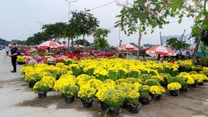 Mercado de flores de primavera Binh Dien 2026: Un evento inolvidable para el Tet. (Foto: VNA)