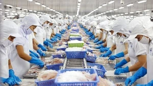 Una línea de procesamiento de pescado Tra para la exportación en Vietnam. (Foto: VNA)