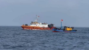 Quang Tri refuerza acciones para levantar “tarjeta amarilla” impuesta sobre el sector pesquero vietnamita. (Foto: VNA)