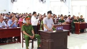 Dong Thap realiza un juicio simulado contra la pesca ilegal. (Foto: VNA)