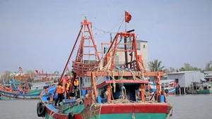 Foto de ilustración. (Fuente: VNA)