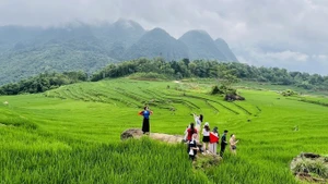 La zona turística comunitaria de Pu Luong (Thanh Hoa) atrae a turistas nacionales e internacionales. (Foto: VNA)