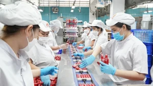 Línea de envasado de productos en la empresa ecológica Vissan. (Foto de ilustración: VNA)