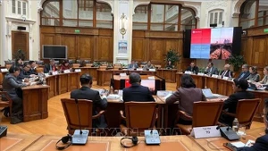 El viceprimer ministro de Vietnam Ho Duc Phoc en la reunión con el vicegobernador del Banco Central de Rusia, Alexey Guznov. (Foto: VNA)