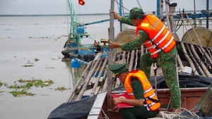 Dong Thap supervisa de cerca la actividad de barcos pesqueros. (Foto: VNA)