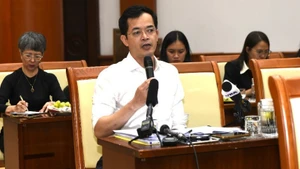 Truong Ba Tuan, subdirector de Gestión y Supervisión de Políticas Tributarias del Ministerio de Finanzas de Vietnam. (Fotografía: VNA)