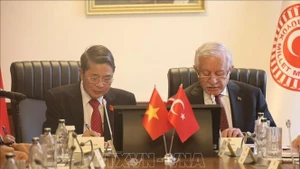 El vicepresidente de la Asamblea Nacional de Vietnam Nguyen Duc Hai sostiene una reunión de trabajo con su homólogo turco, Celal Adan. (Foto: VNA)