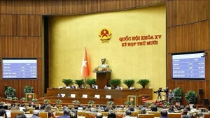 Panorama de la sesión (Foto: VNA)