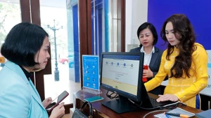 Foto de ilustración. (Fuente: VNA)