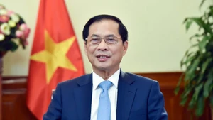 El vice primer ministro y titular de Relaciones Exteriores de Vietnam, Bui Thanh Son. (Foto: Ministerio de Relaciones Exteriores de Vietnam)