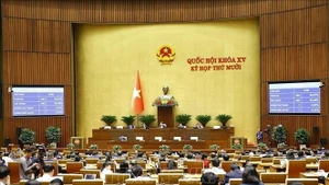 Panorama de la sesión. (Foto: VNA)