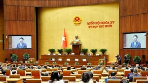 En la cita. (Foto: VNA)