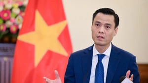 El viceministro de Relaciones Exteriores de Vietnam Dang Hoang Giang. (Foto: Nhan Dan)