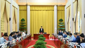 Panorama de la cita. (Foto: VNA)