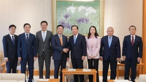 El vice premier vietnamita Le Thanh Long (cuarto desde la izquierda) se reúne con el presidente de la Cámara de Representantes de Japón, Nukaga Fukushiro (cuarto desde la derecha). (Foto: VNA)