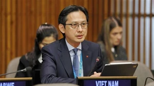 El embajador Do Hung Viet. (Foto: VNA)