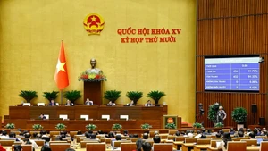 Panorama de la sesión de hoy. (Foto: VNA)