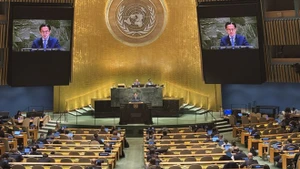 El embajador Do Hung Viet, jefe de la Misión Permanente de Vietnam ante la Organización de las Naciones Unidas, habla en la cita. (Foto: VNA)