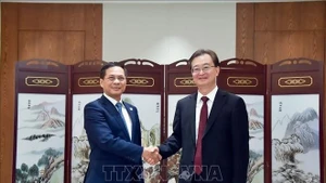 El vicepremier y ministro de Relaciones Exteriores de Vietnam, Bui Thanh Son (izquierda), y el secretario del Comité del Partido Comunista de China en la provincia de Yunnan, Wang Ning. (Foto: VNA)