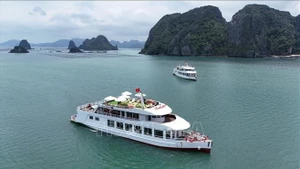 Barcos turísticos en la bahía de Ha Long. (Foto: VNA)