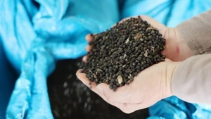 Foto de ilustración. (Fuente: VNA)