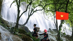 El encanto de una cascada cubierta de musgo en los bosques de Lai Chau