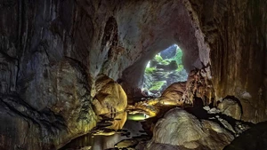En Son Doong. (Foto: Oxalis)