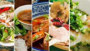 Foto de ilustración. (Fuente: Nhan Dan)