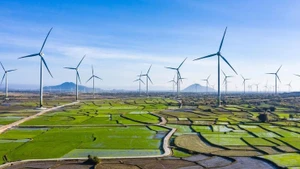 Garantizar la seguridad energética para el desarrollo nacional en la nueva era. (Foto: Internet)