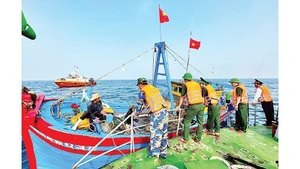 La Fuerza de Guardia Fronteriza de Quang Ngai patrulla regularmente el mar y gestiona estrictamente los casos de buques pesqueros que violan las regulaciones de la pesca INDNR. (Foto: Nhan Dan)