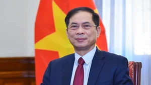 El vicepremier y ministro de Relaciones Exteriores de Vietnam, Bui Thanh Son. (Foto: VNA)