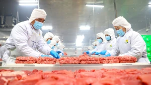 [Foto] Provincia deltaica de Tay Ninh desarrolla mercado halal