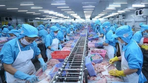 Procesamiento de pescado en Vietnam para la exportación. (Fotografía: VNA)